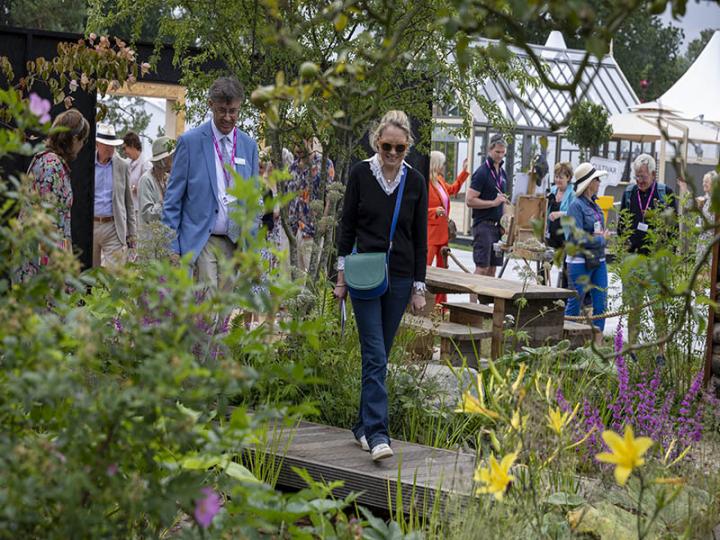 RHS Hampton Court Palace Garden Festival © RHS/Sarah Cuttle