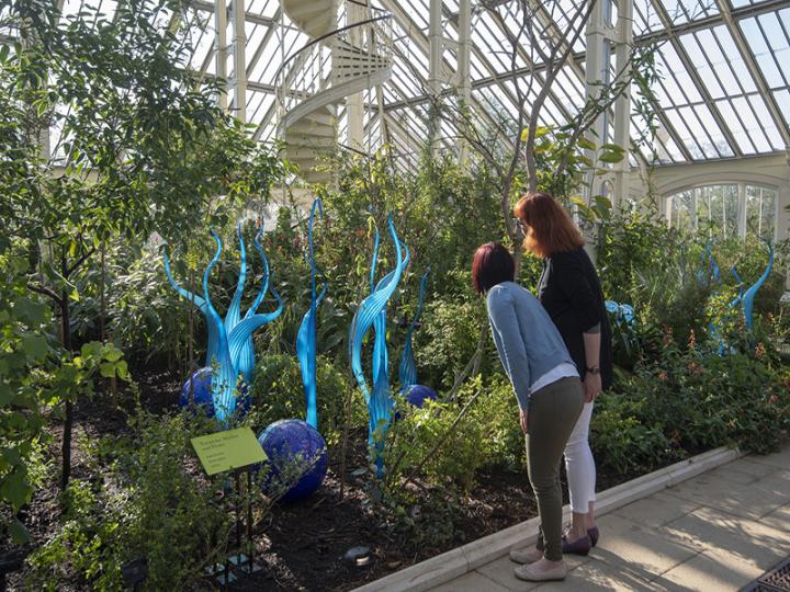 Kew Gardens © RBG Kew/Jeff Eden