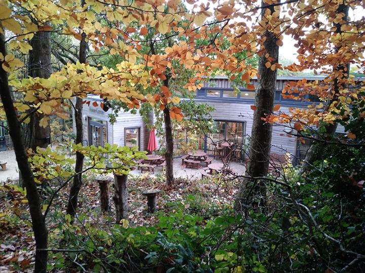 Thomas Hardy Visitor Centre